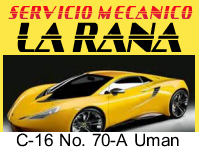 LA RANA SERVICIO AUTOMOTRIZ