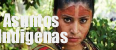 comision de asuntos indigenas
