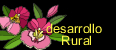 Desarrollo Rural