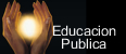 Educacion Publica