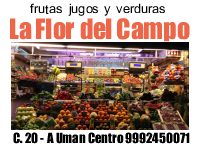 frutas jugos y verduras